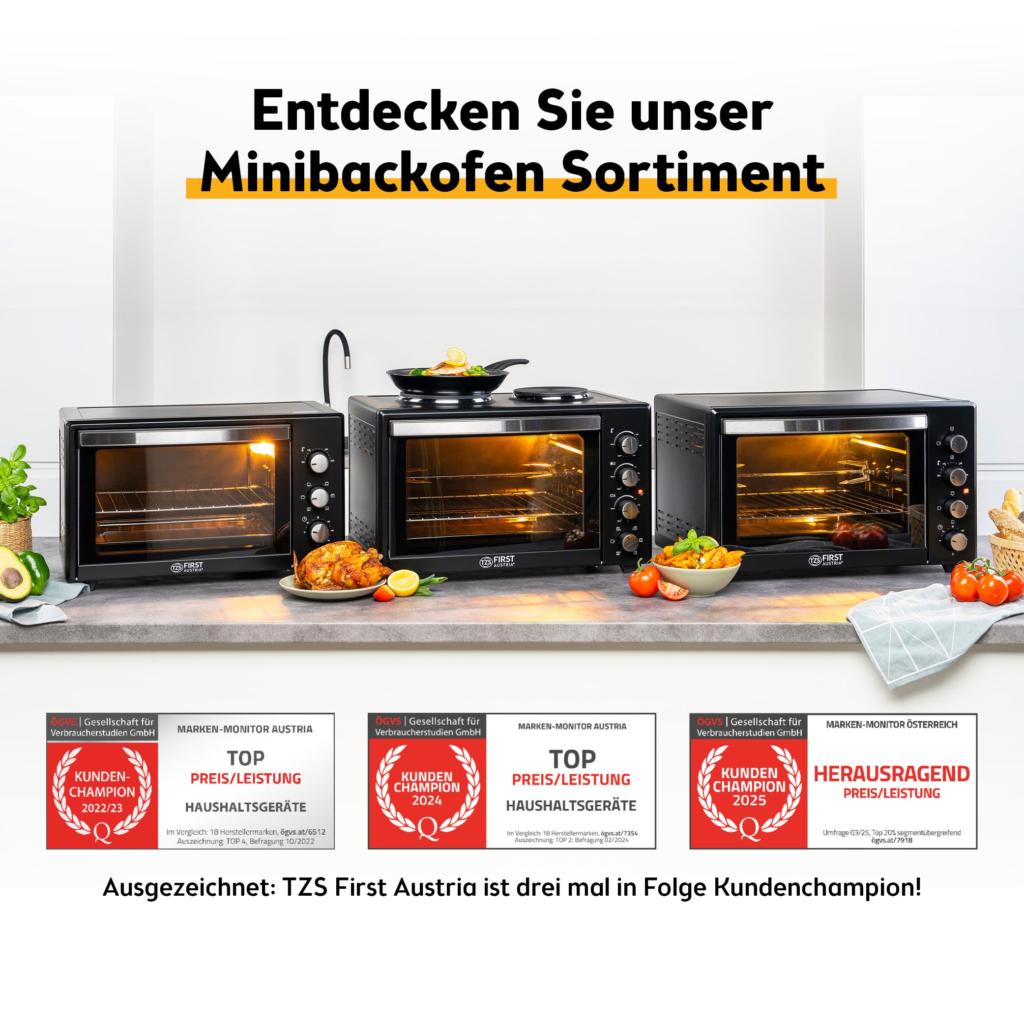 Digital Mini Oven 45 L, with Convection, Rotisserie Spit