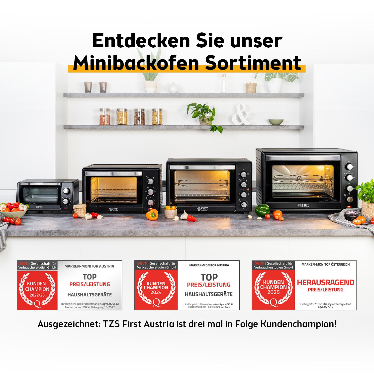 Mini Oven 20 L, with Convection, Space-Saving
