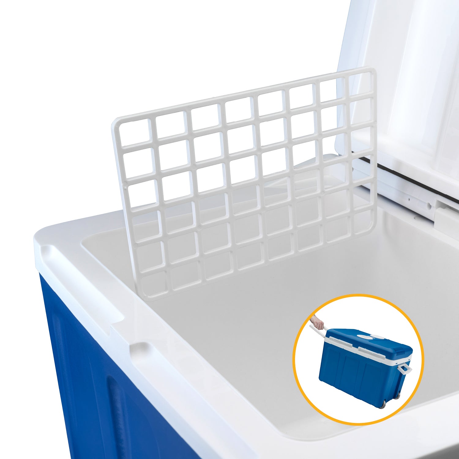 Elektrische Kühlbox 45L mit Trolley – Kühl- & Warmhaltebox