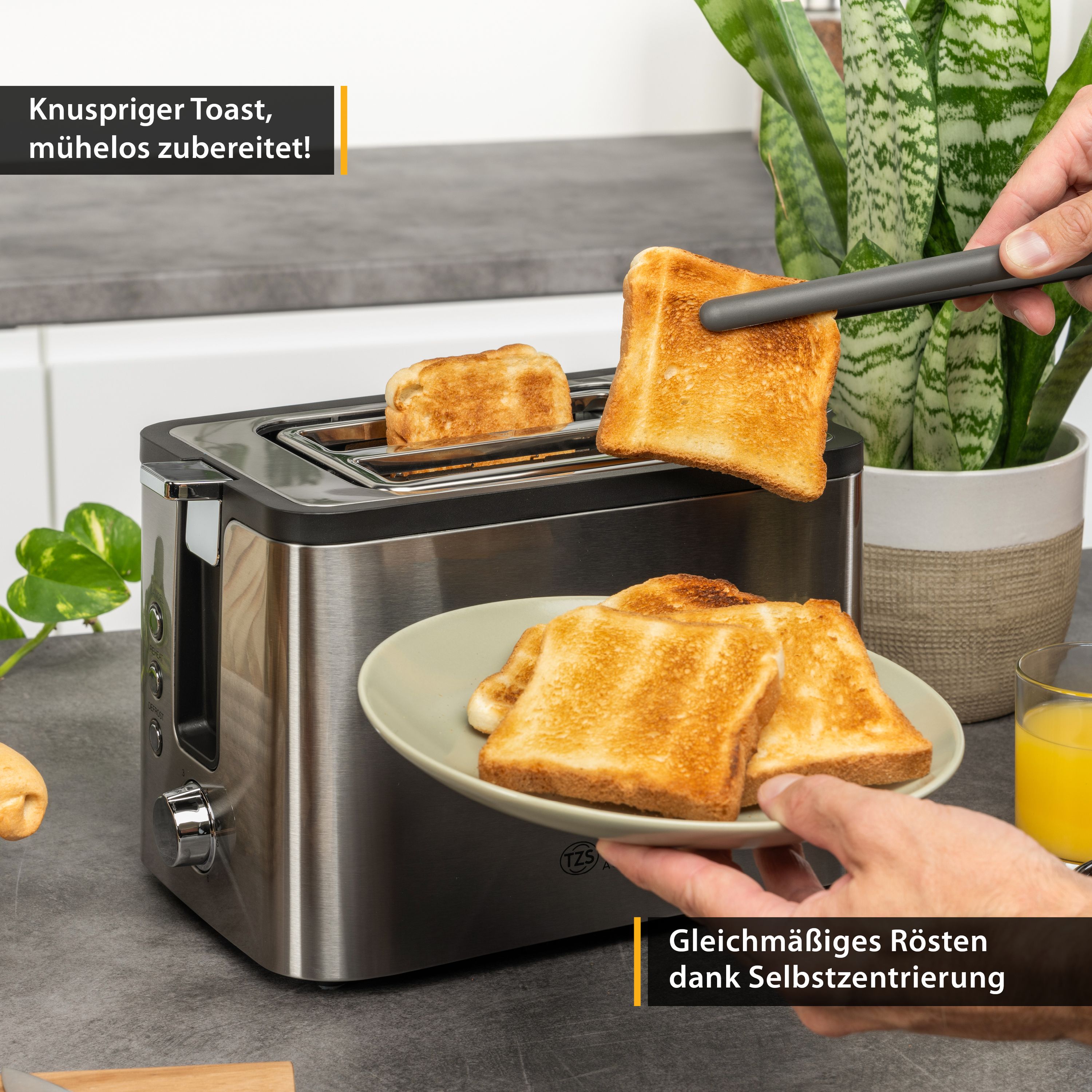 800W - 2 Scheiben